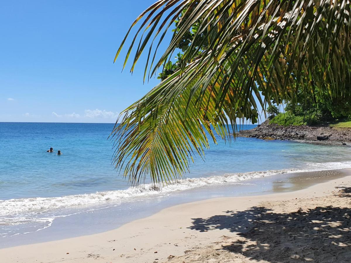 Ti Oasis Trinidad, Studio Vue Mer A Pierre & Vacances Sainte-Luce Esterno foto